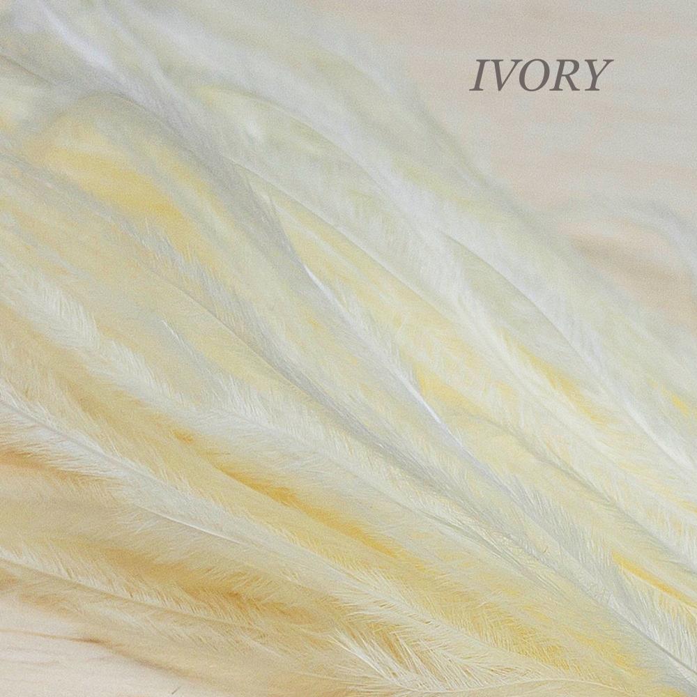 Ostrich Feather Earrings, Long Feather Earrings, Boho Feather Earrings in White, Ivory and Champagne Colors. (E016-G) - UniqueBeadsNY