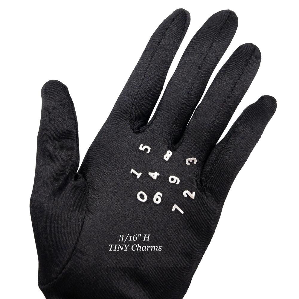 Number Charms, Tiny 925 Silvers Number Slide Beads for Jewelry Making, Small Number Pendants, Number Beads for Bracelets (P008-S) - UniqueBeadsNY