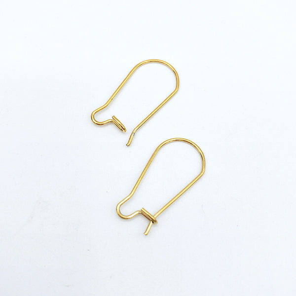 Kidney Earring Wires, 0.7mm Wire, Gold Plated Stainless Steel, Kidney –  UniqueBeadsNY