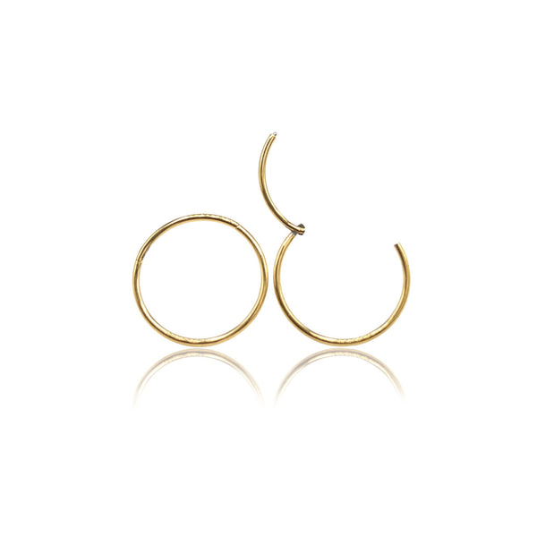 Nose Ring, Septum Ring, Endless Hoop, Hinged Segment Clicker 316L Surgical Stainless Steel in 18K Gold PVD Plating (STER-0021G)